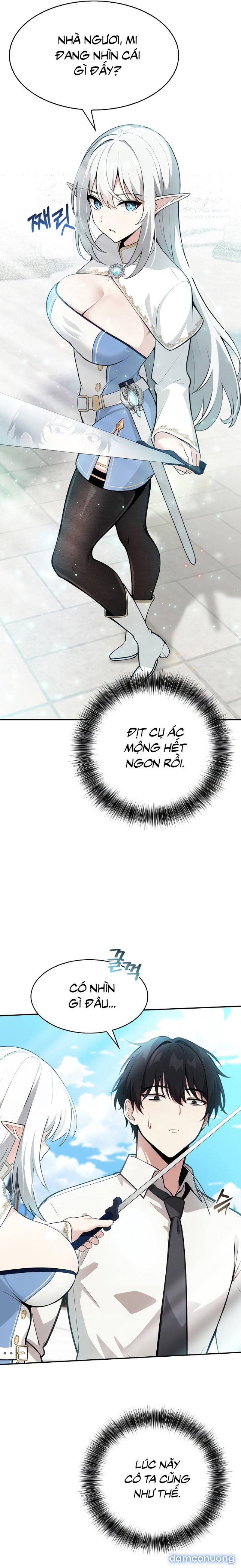 Chuyển sinh thành kỵ sĩ cu rồng 
