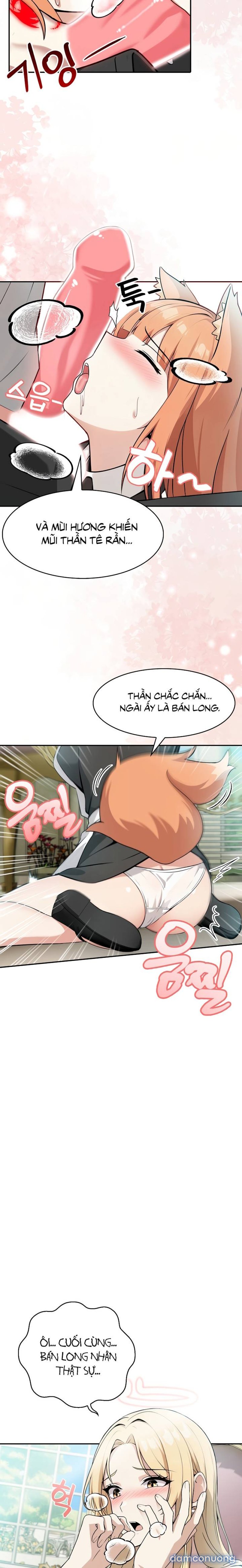 Chuyển sinh thành kỵ sĩ cu rồng 