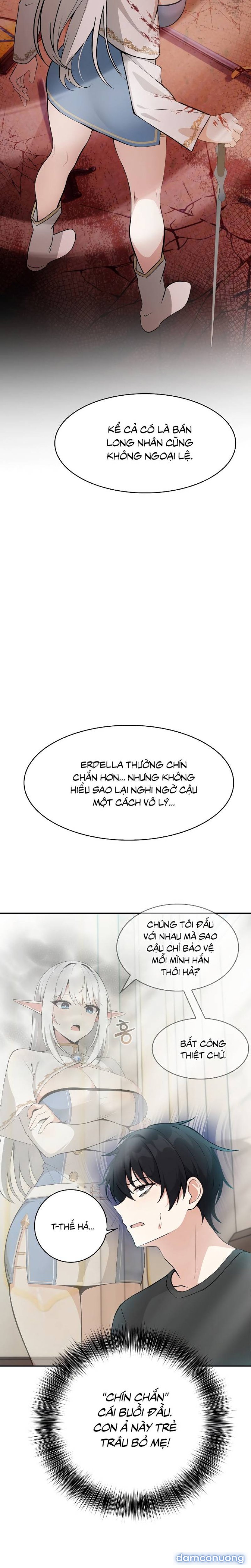 Chuyển sinh thành kỵ sĩ cu rồng 