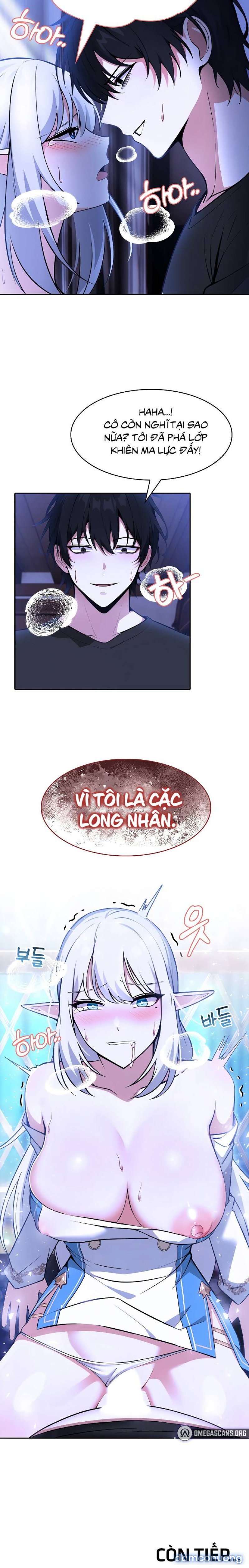 Chuyển sinh thành kỵ sĩ cu rồng 