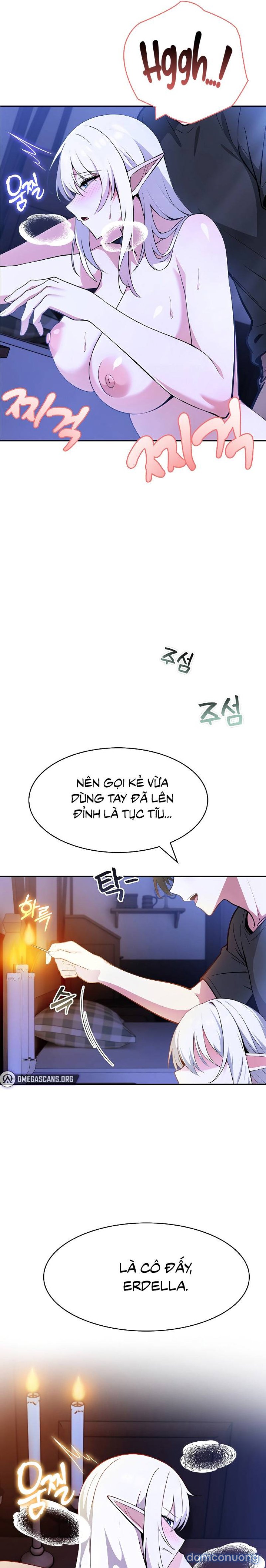 Chuyển sinh thành kỵ sĩ cu rồng 