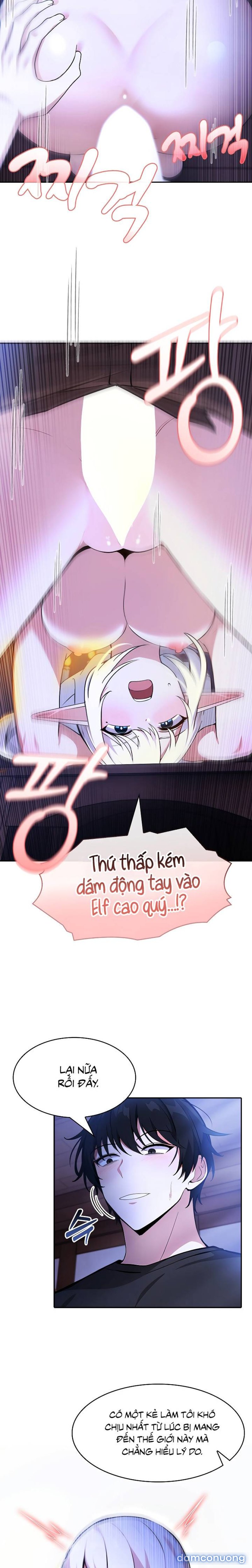 Chuyển sinh thành kỵ sĩ cu rồng 