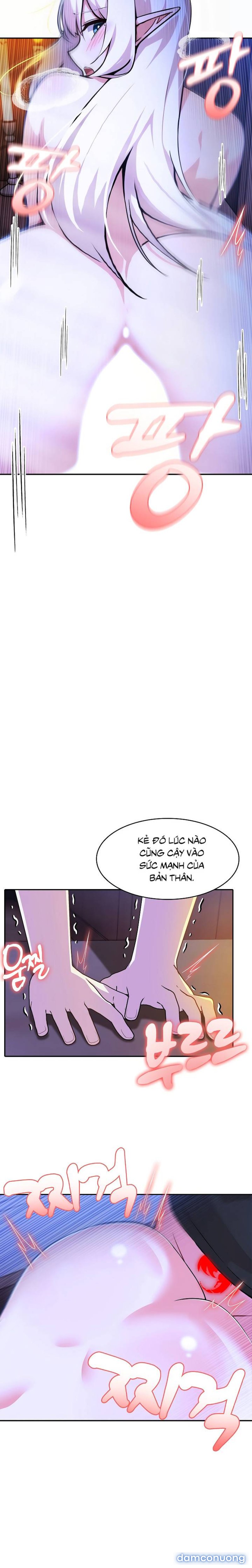 Chuyển sinh thành kỵ sĩ cu rồng 