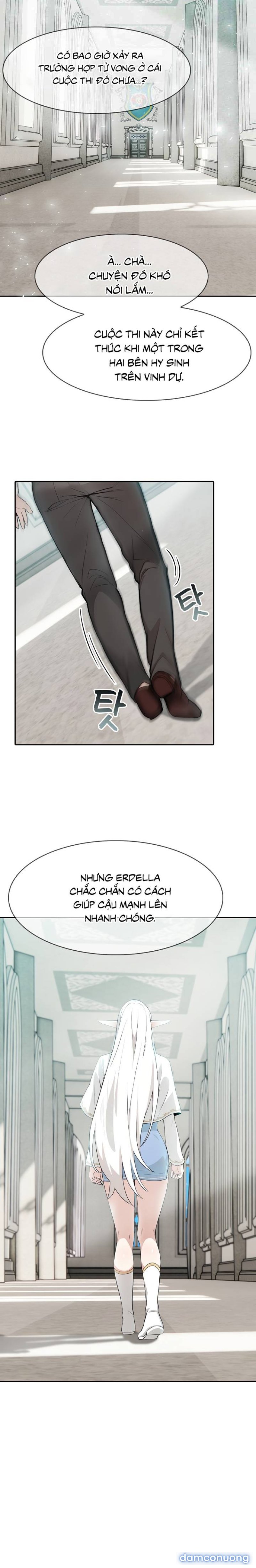 Chuyển sinh thành kỵ sĩ cu rồng 