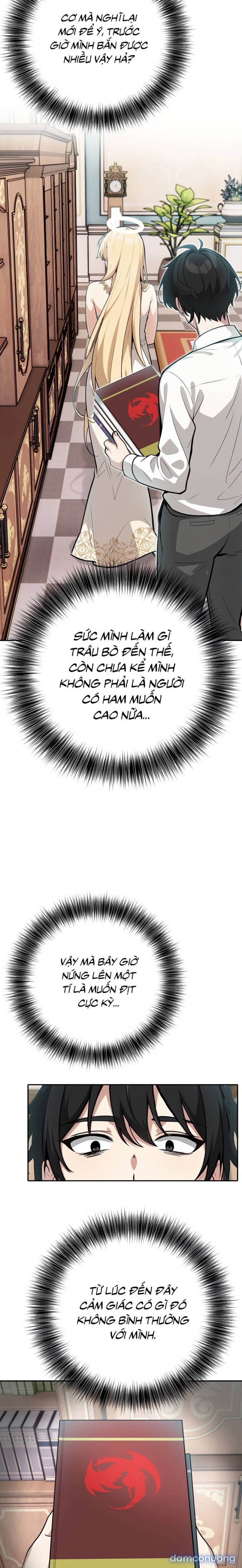 Chuyển sinh thành kỵ sĩ cu rồng 