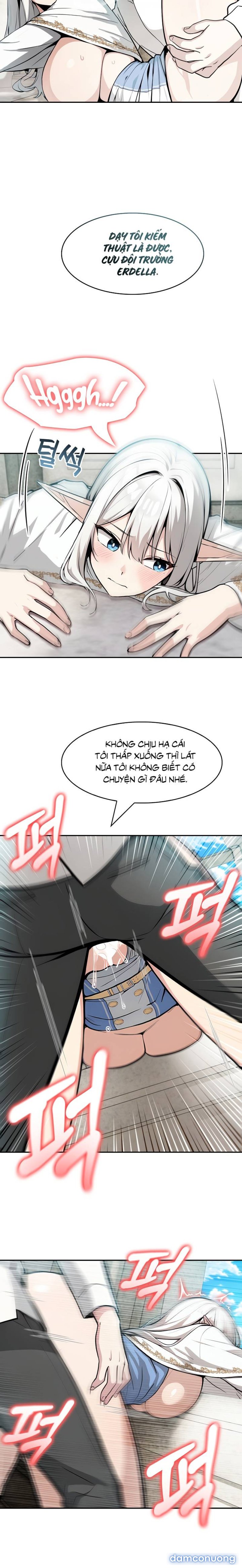 Chuyển sinh thành kỵ sĩ cu rồng 