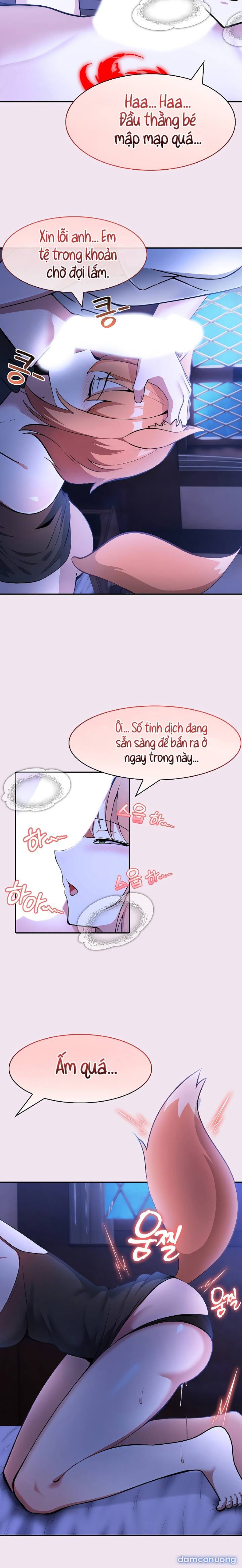 Chuyển sinh thành kỵ sĩ cu rồng 