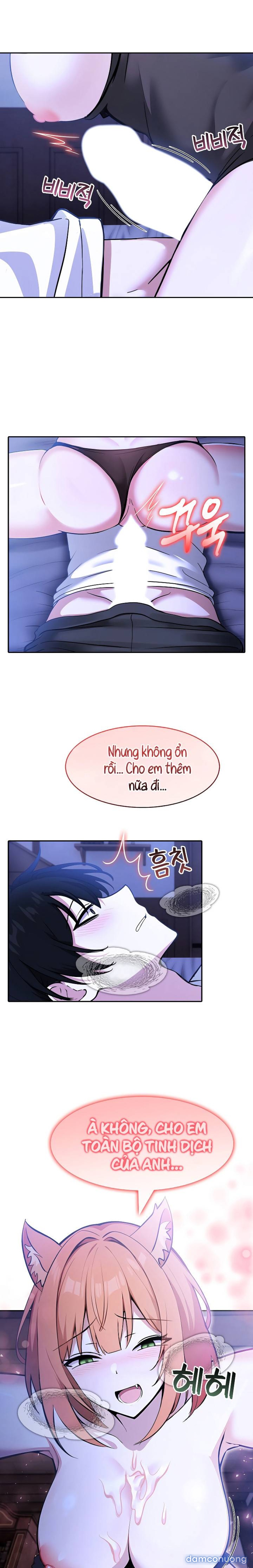 Chuyển sinh thành kỵ sĩ cu rồng 