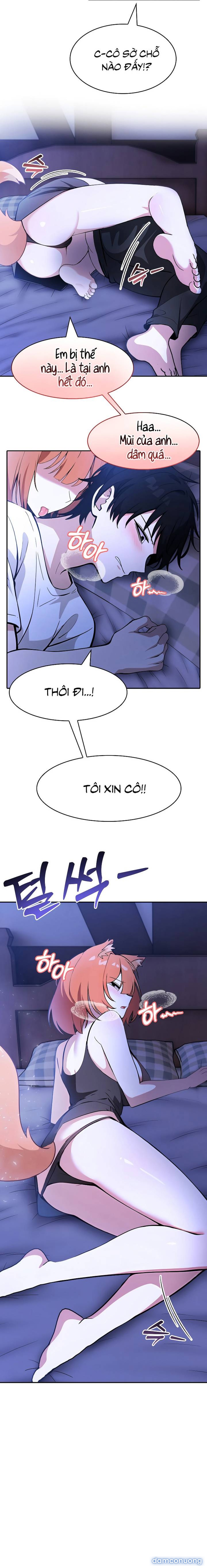 Chuyển sinh thành kỵ sĩ cu rồng 
