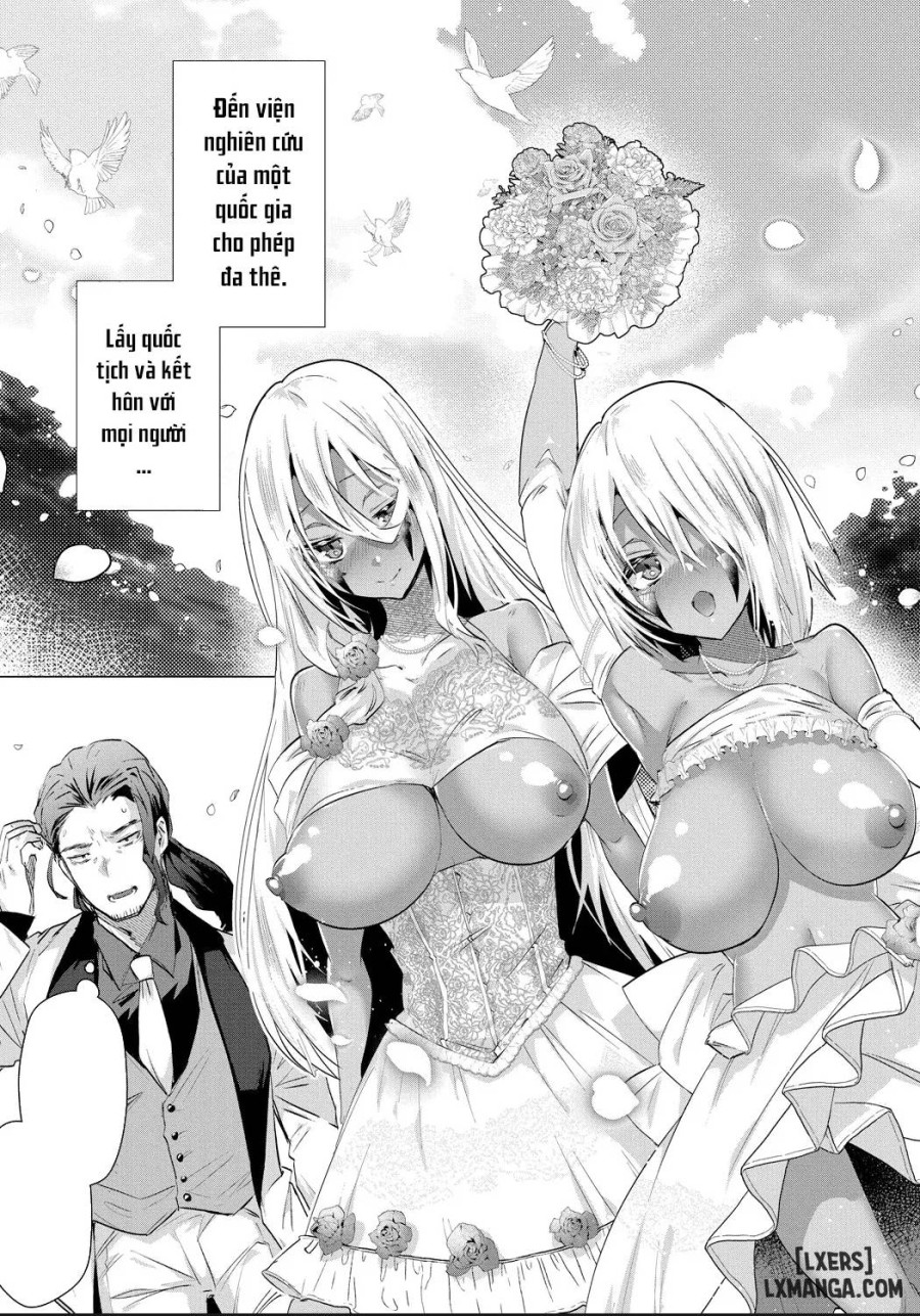 Đảo Harem Cùng Các Gái Da Nâu 