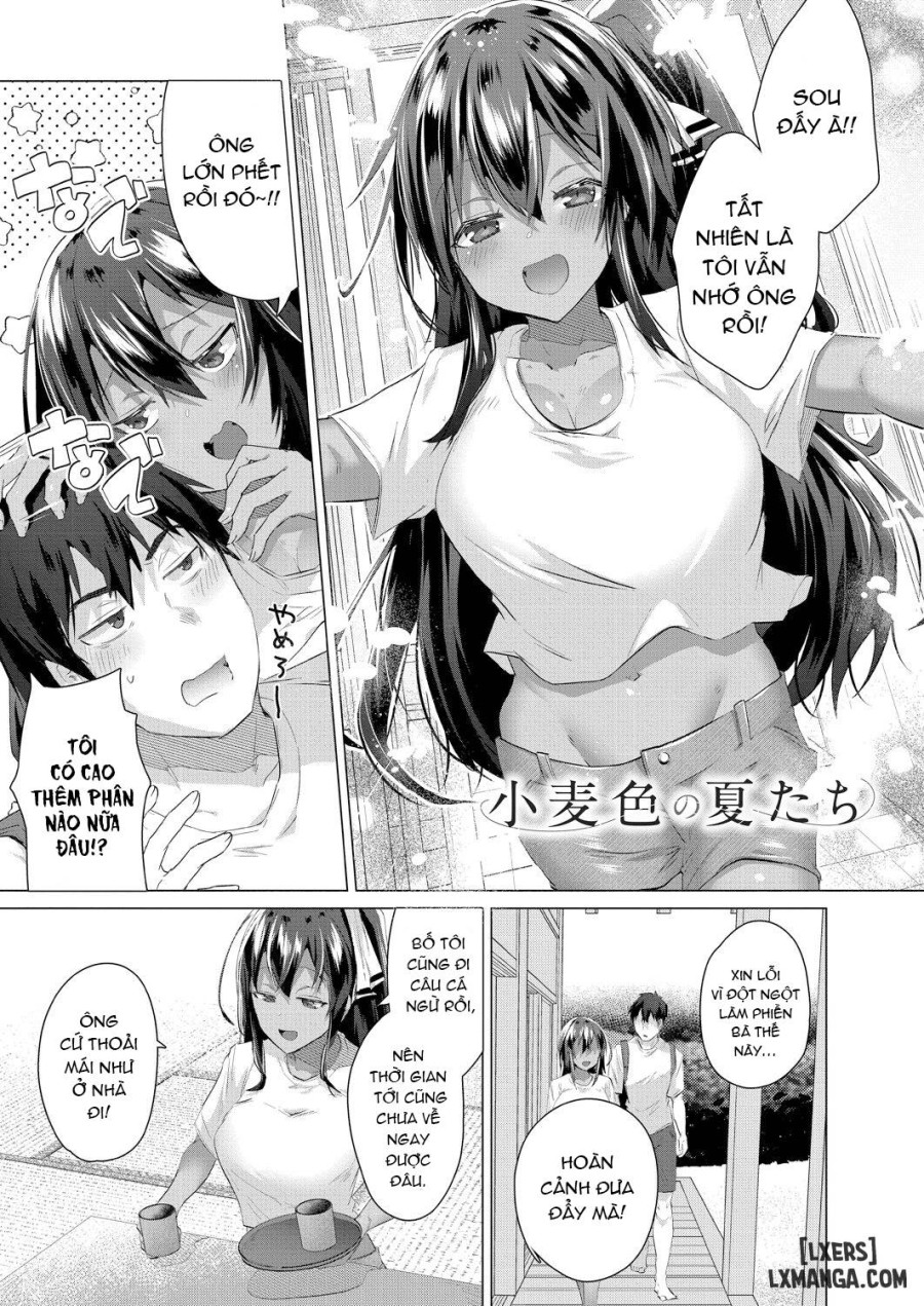 Đảo Harem Cùng Các Gái Da Nâu 