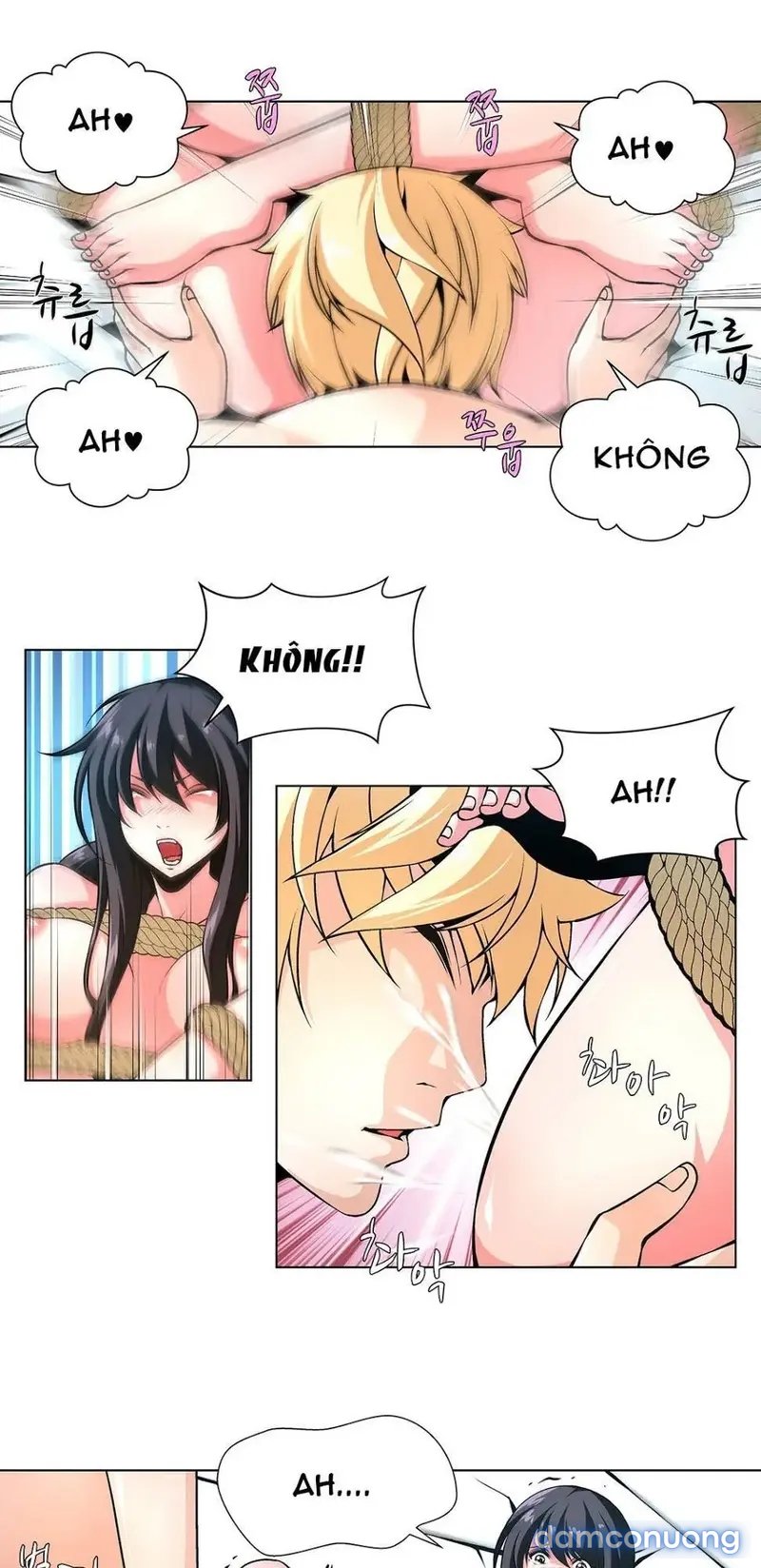 Nô Lệ Song Sinh 