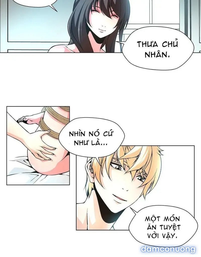 Nô Lệ Song Sinh 