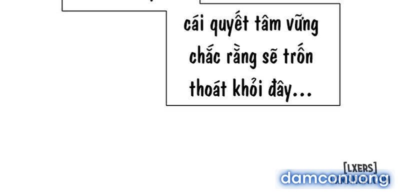Nô Lệ Song Sinh 