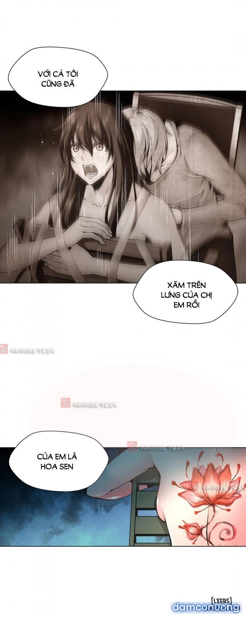 Nô Lệ Song Sinh 