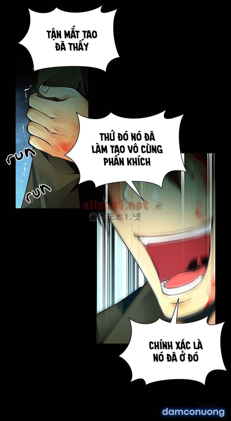 Nô Lệ Song Sinh 