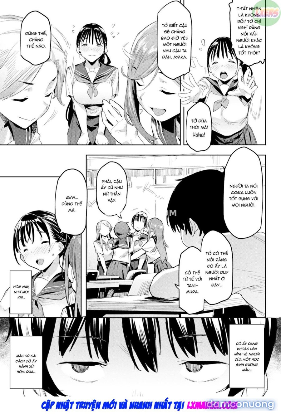 Mutual Perverts 