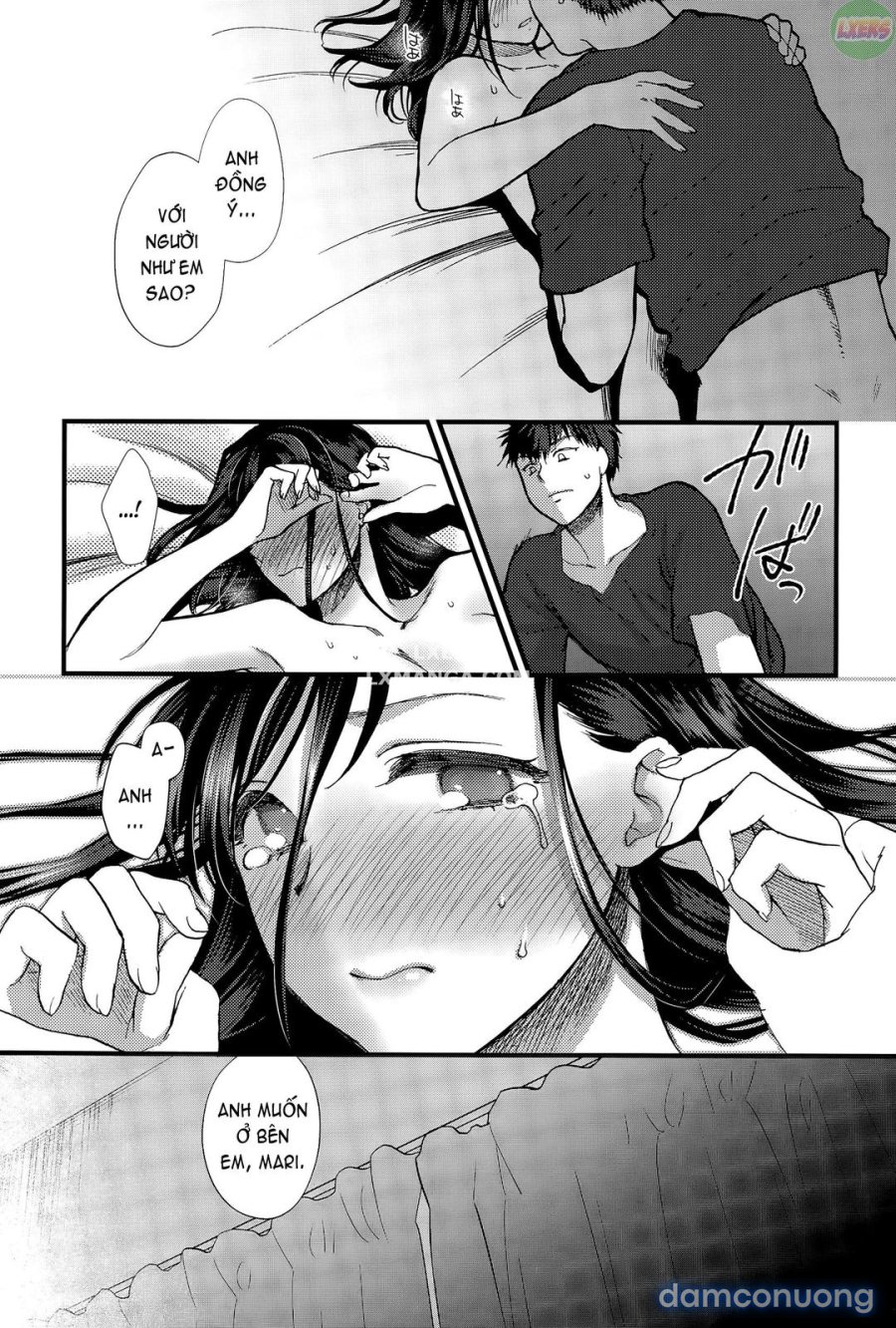 Koisame Dolce 