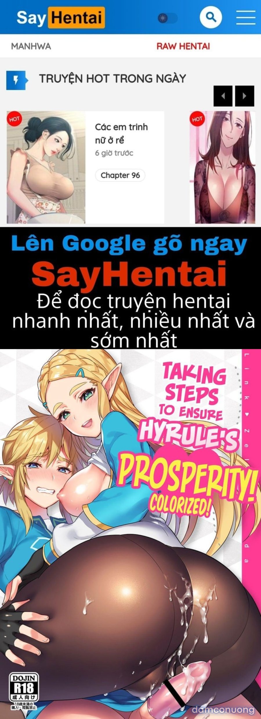 Hyrule Hanei no Tame no Katsudou 