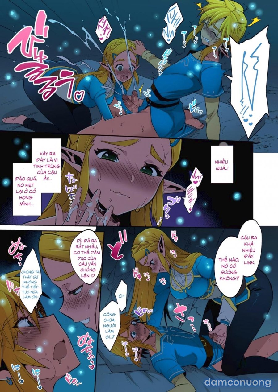 Hyrule Hanei no Tame no Katsudou 
