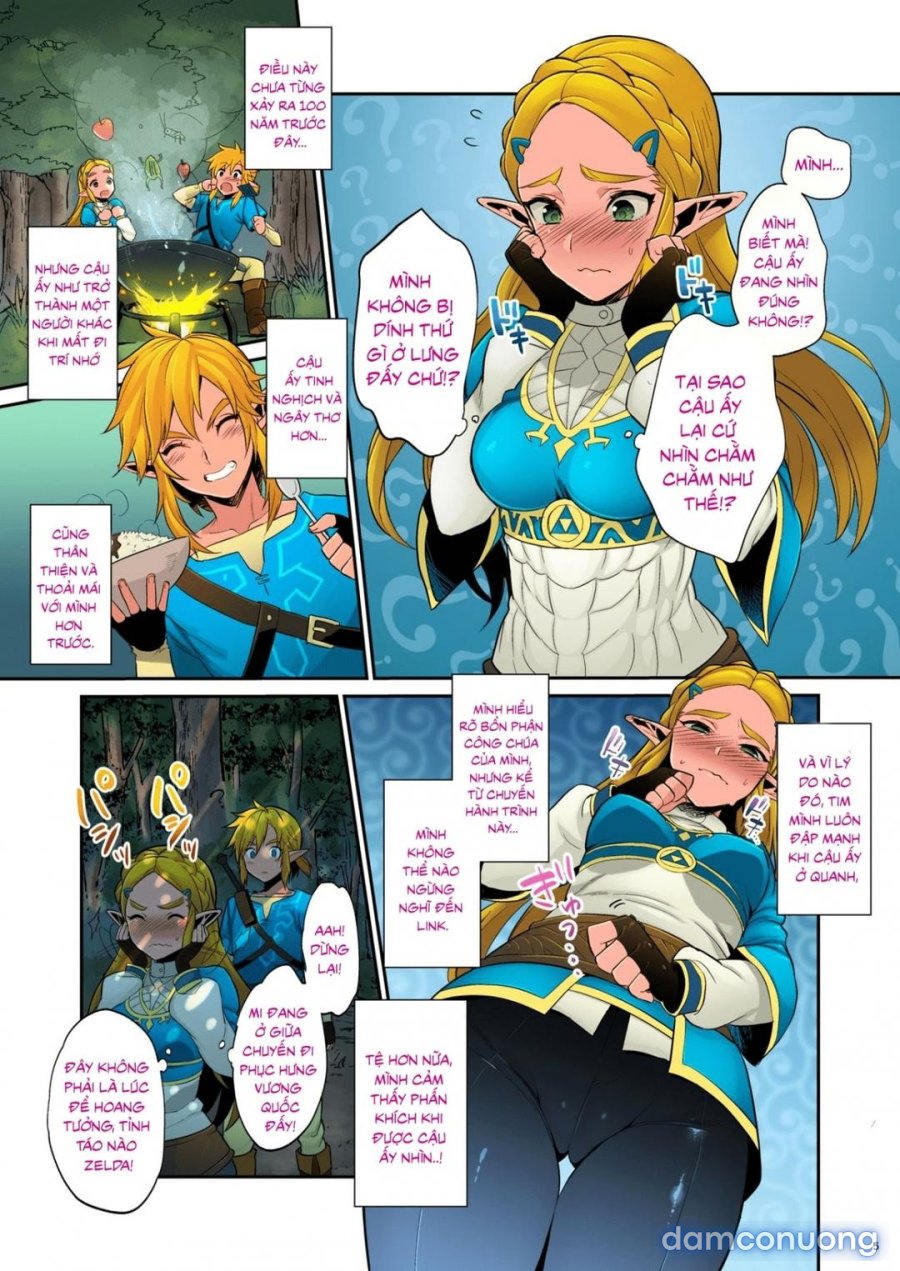 Hyrule Hanei no Tame no Katsudou 