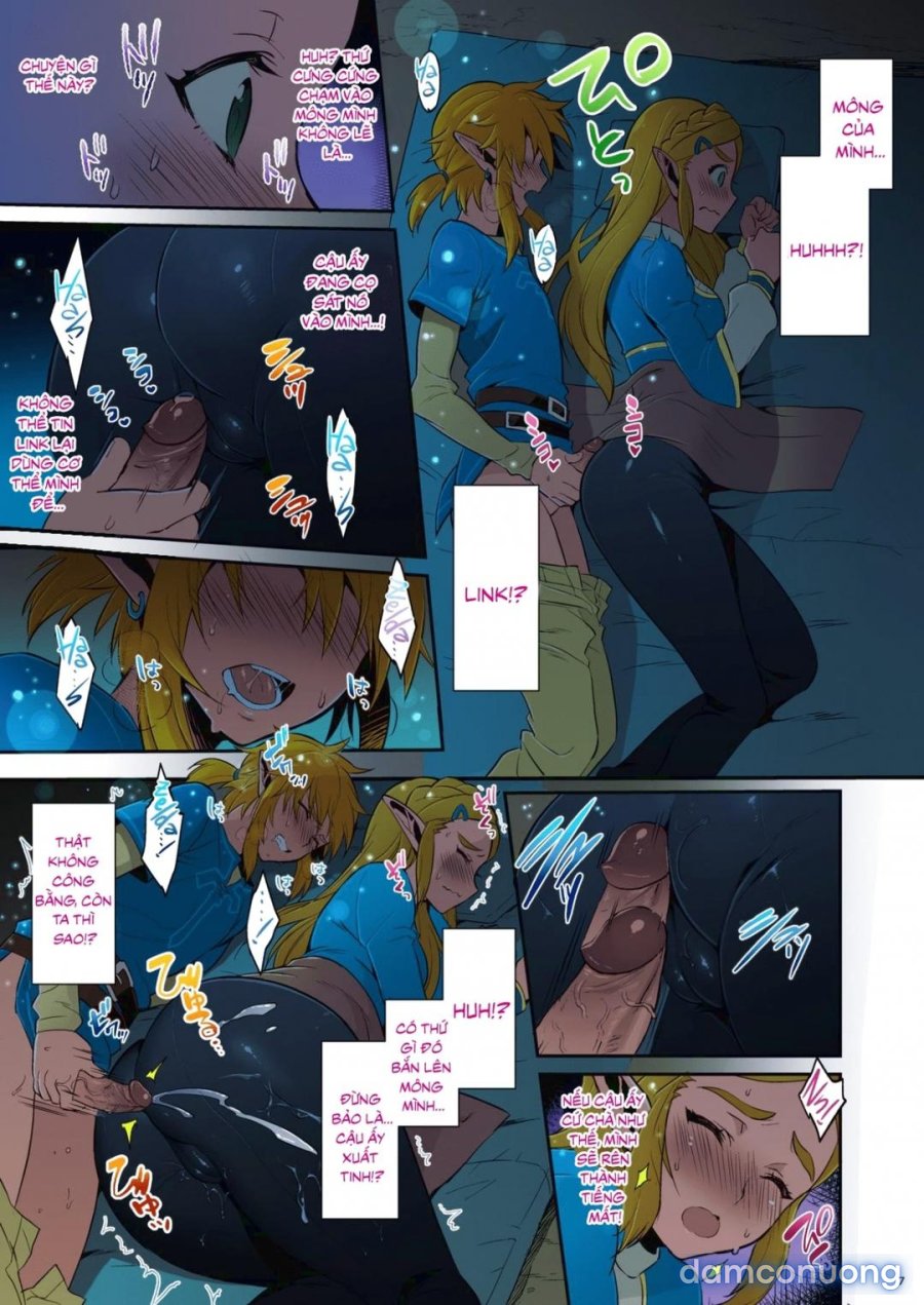 Hyrule Hanei no Tame no Katsudou 