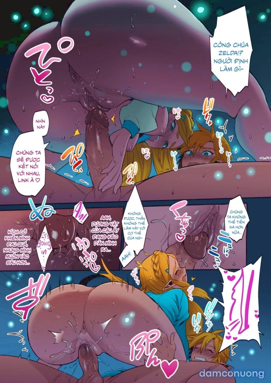 Hyrule Hanei no Tame no Katsudou 