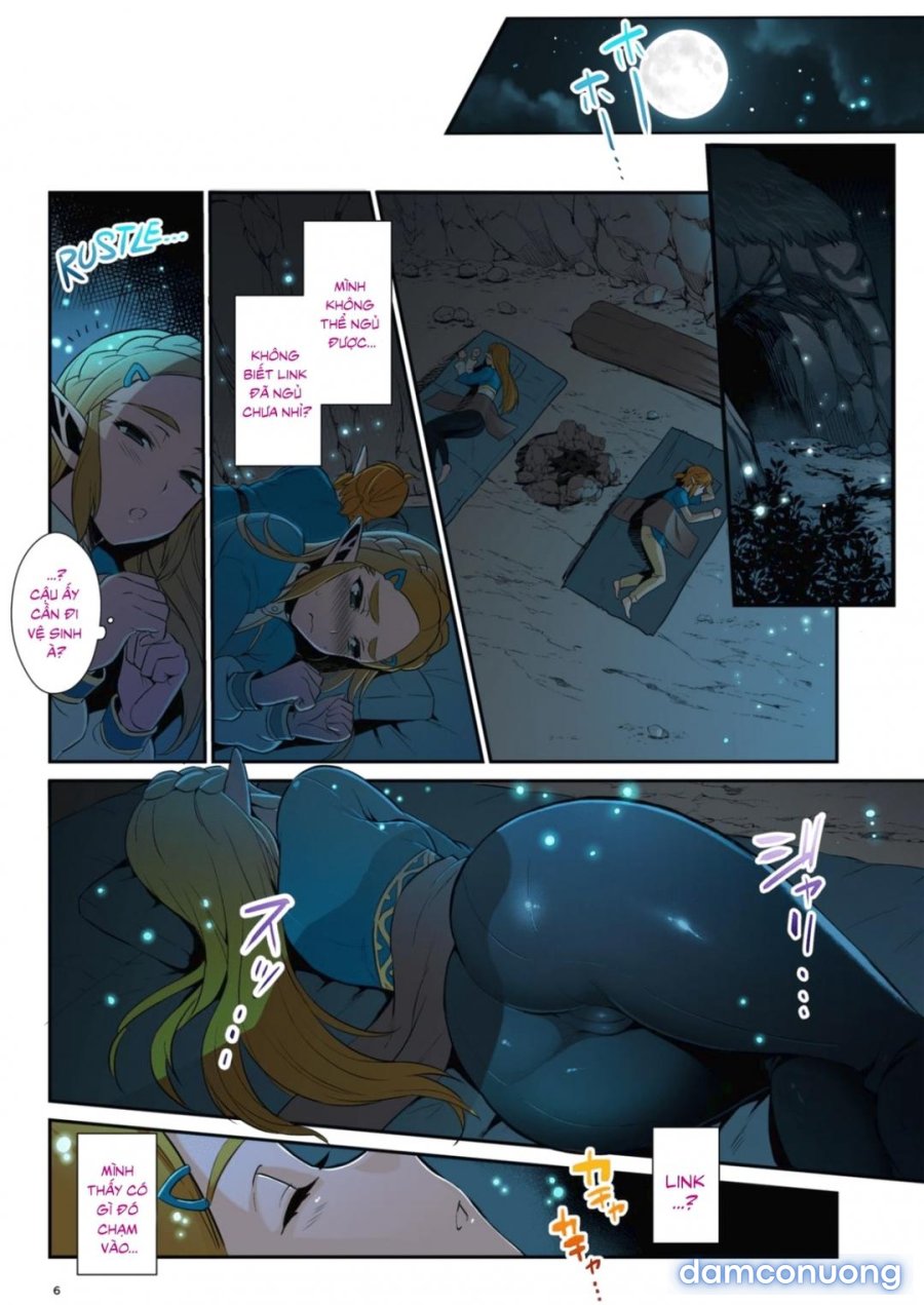Hyrule Hanei no Tame no Katsudou 