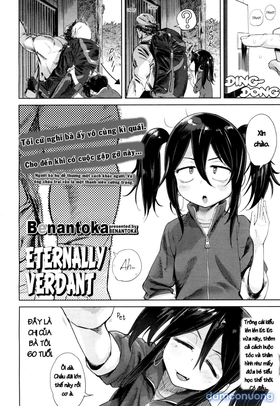 Eien no Wakaba Girl 