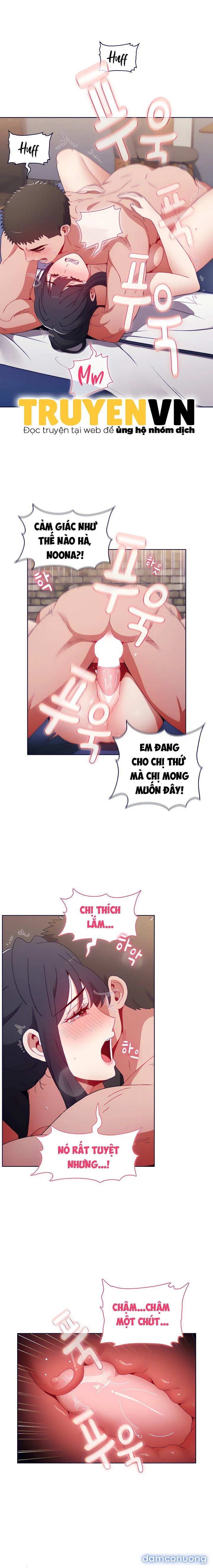 Hai Chị Em Chủ Nhà 