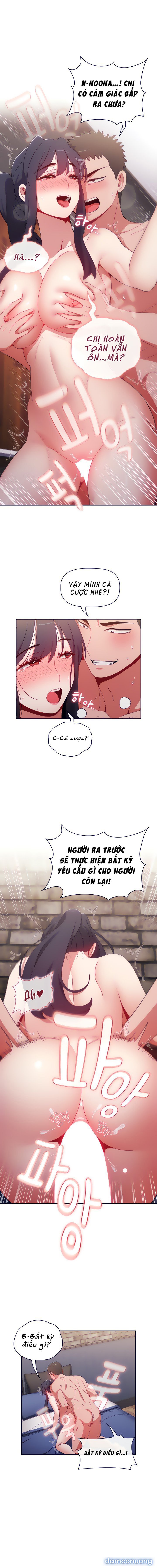 Hai Chị Em Chủ Nhà 
