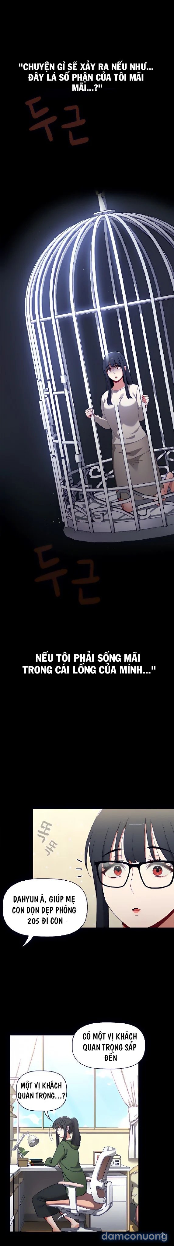 Hai Chị Em Chủ Nhà 
