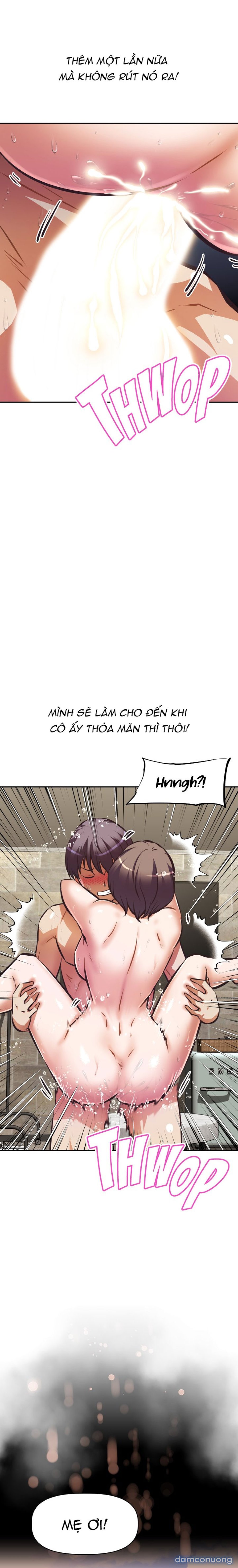 Thế Giới Steamer 