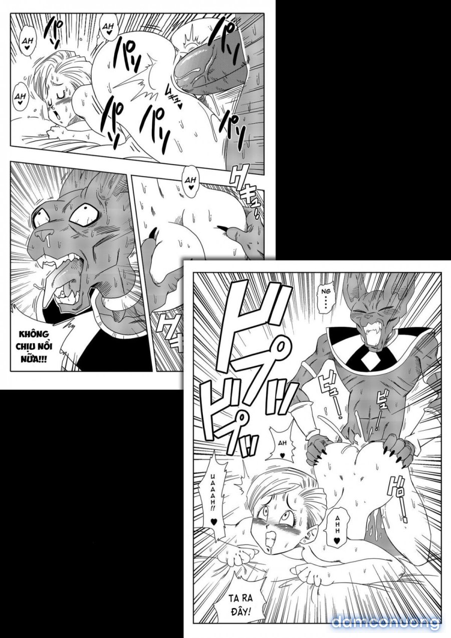 No One Disobeys Beerus! 