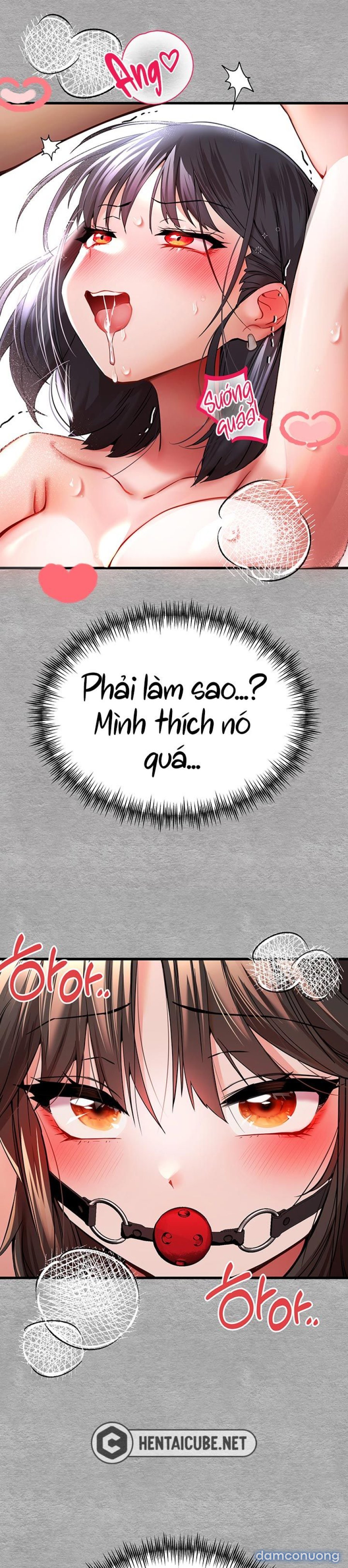 Tôi phải ngủ với một người lạ? 