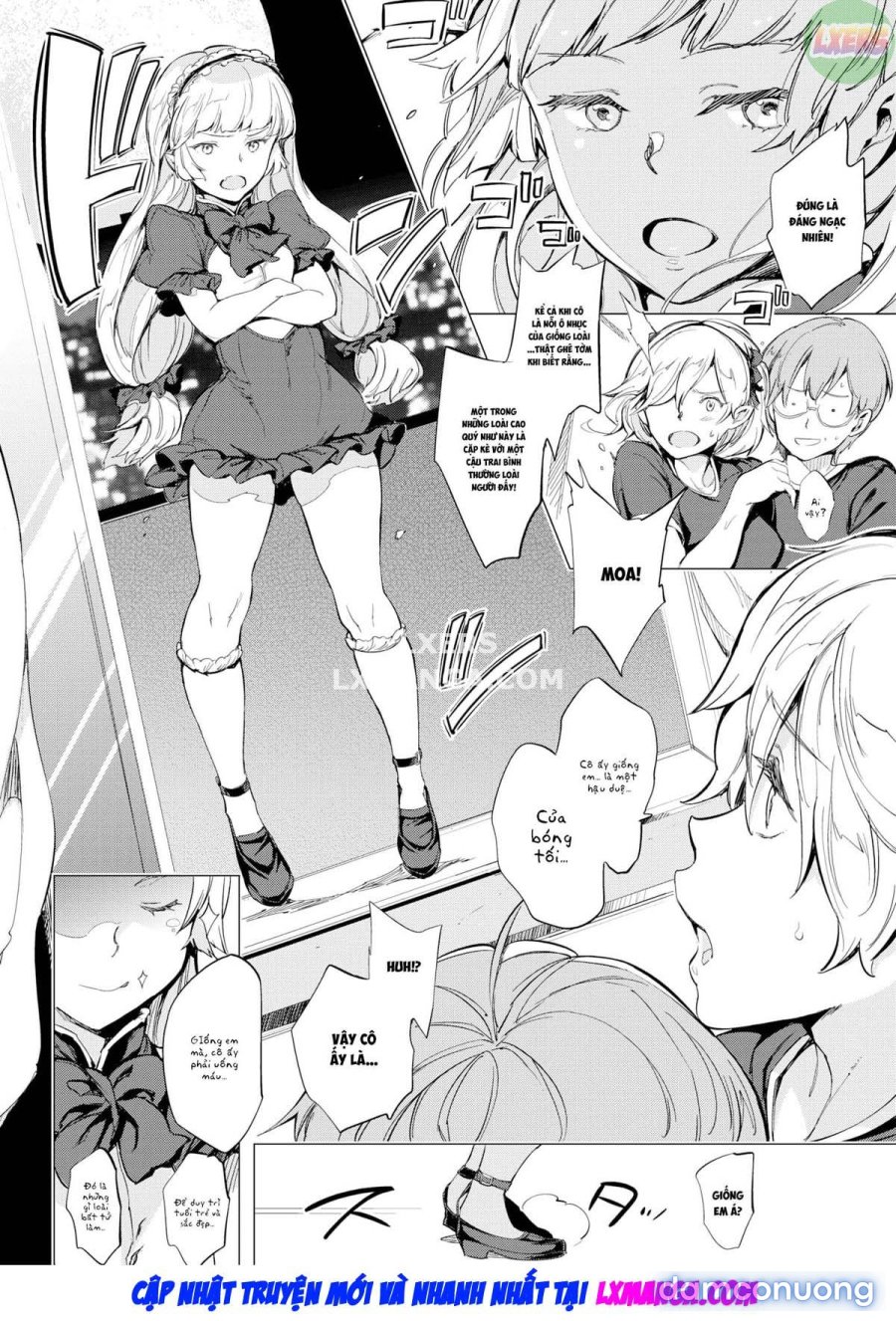 Penis Collection 