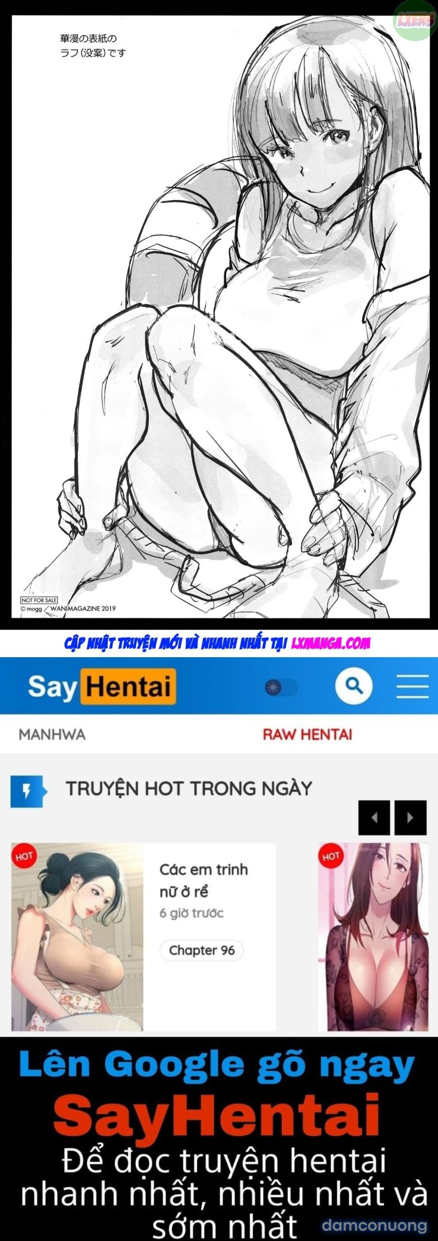 Penis Collection 