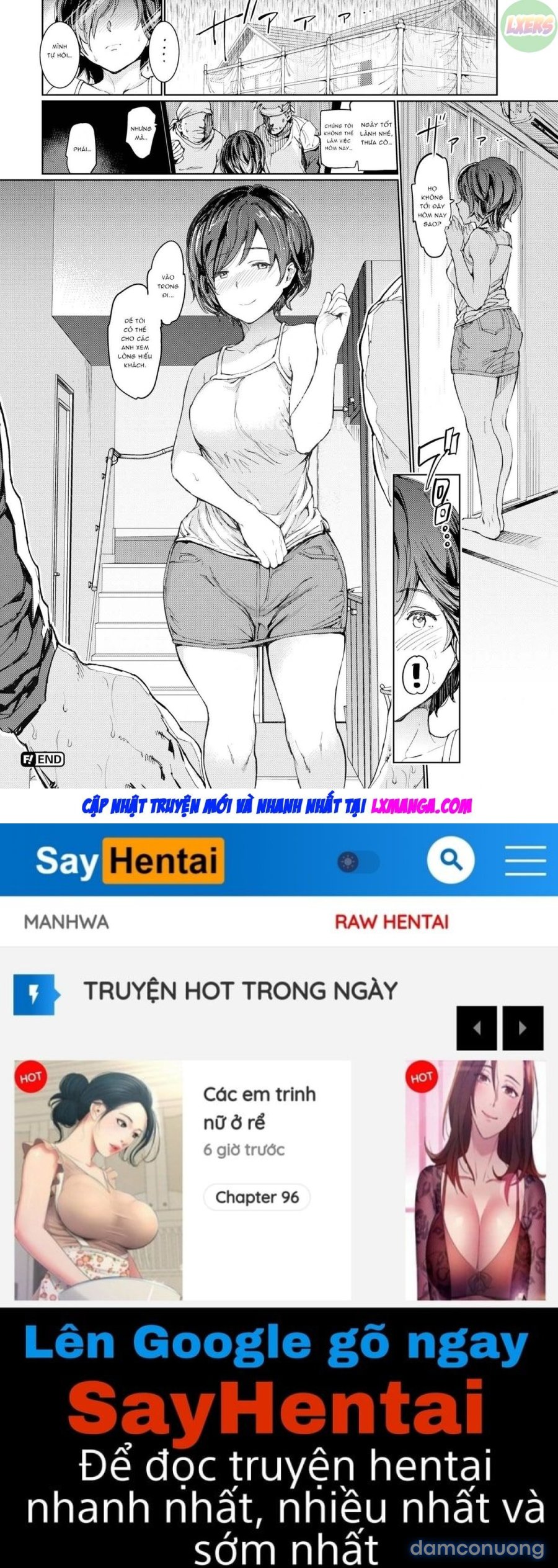Penis Collection 