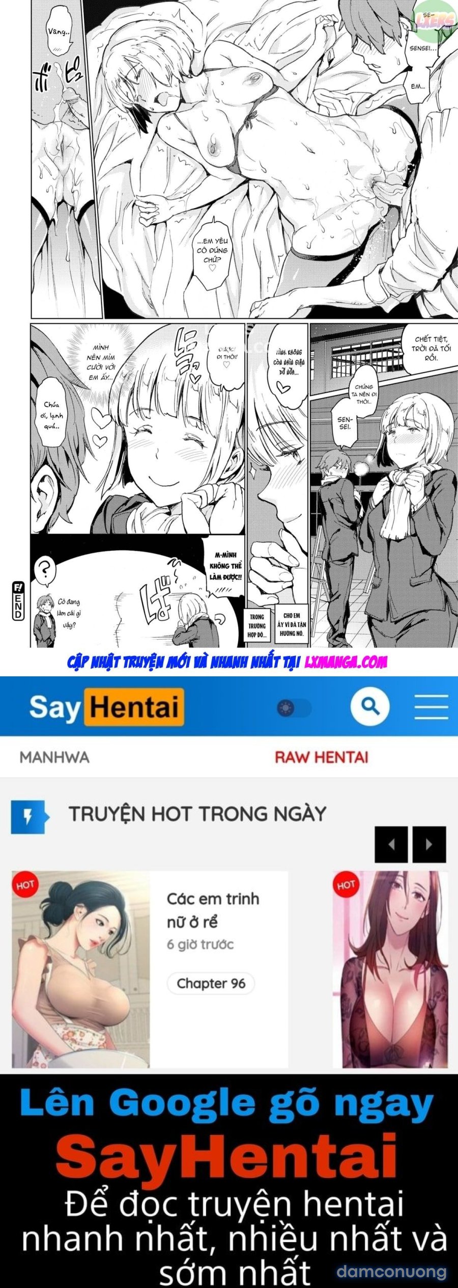 Penis Collection 