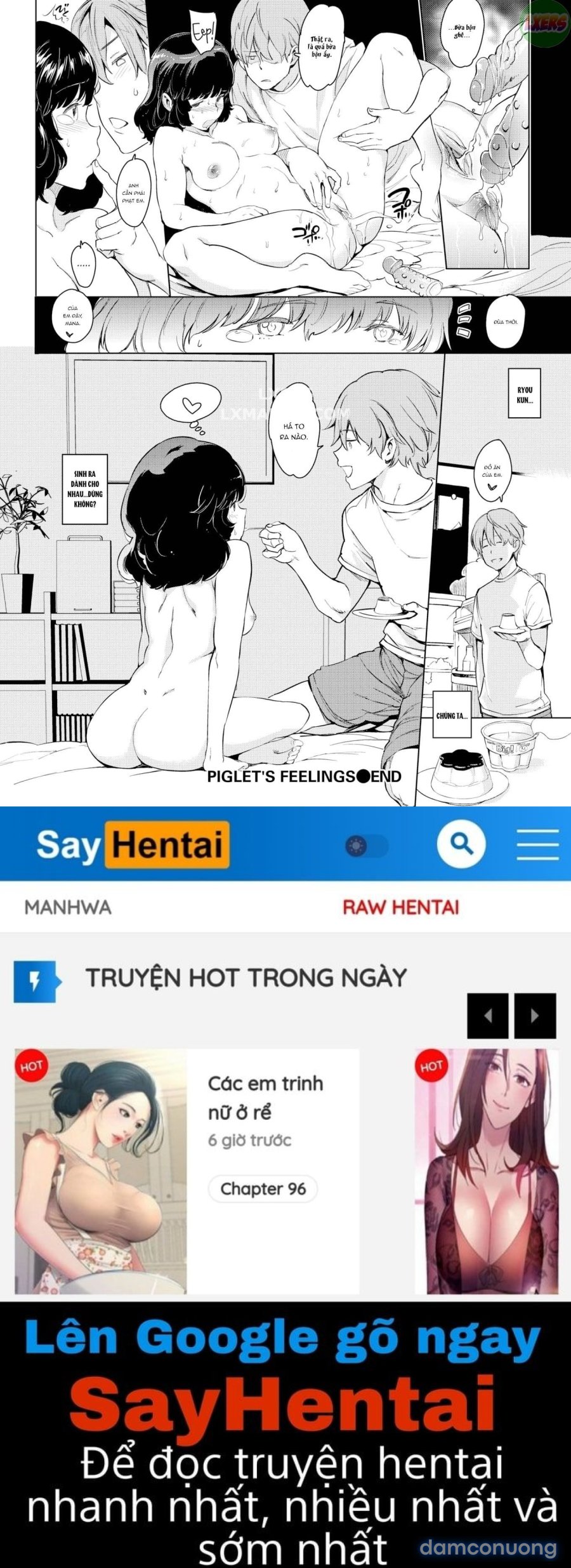 Penis Collection 