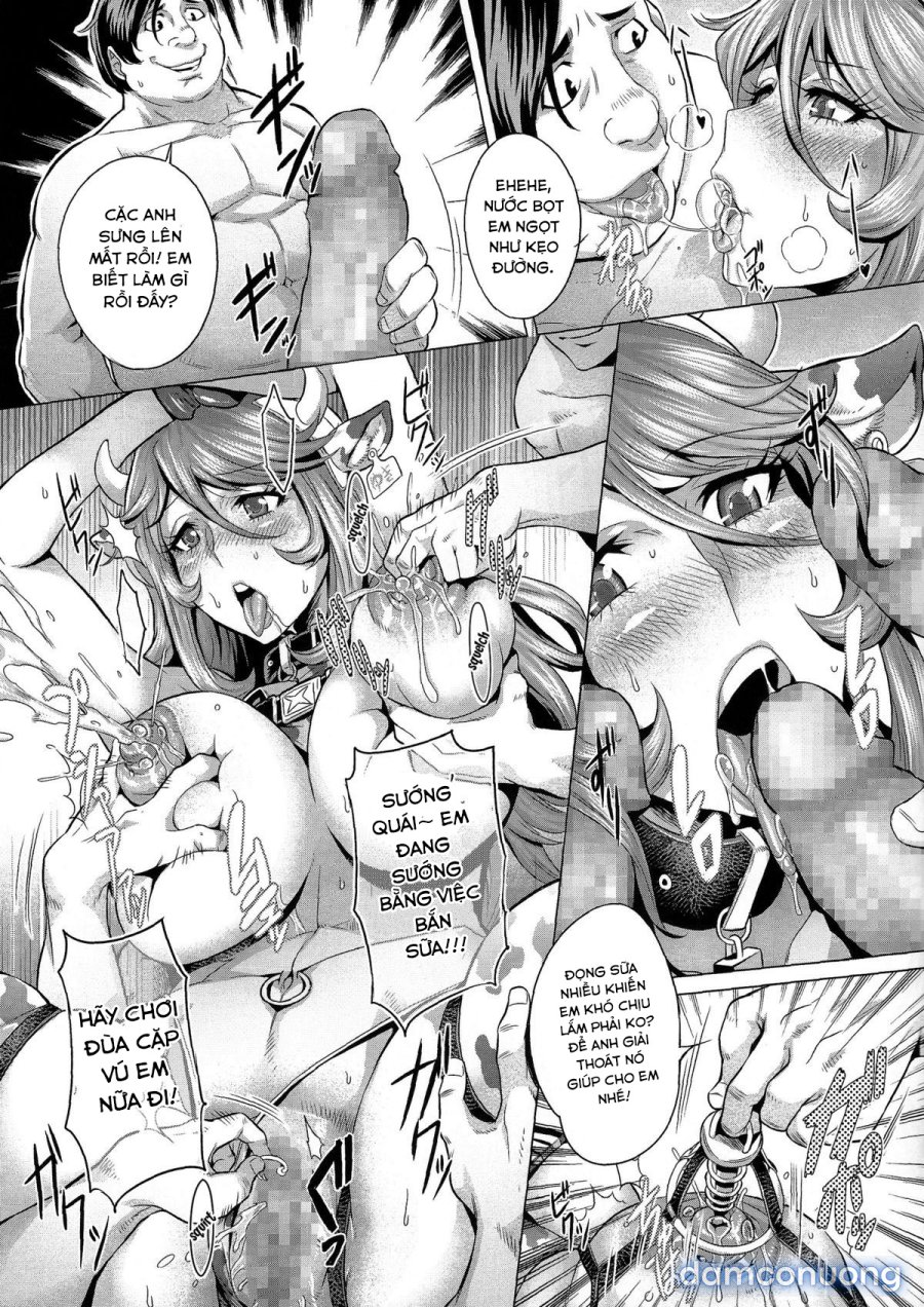 Impregnation Battleship 2199 