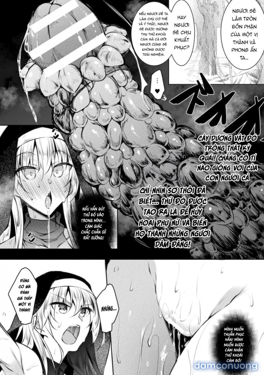Seijo Daraku Fallen Holy Woman 
