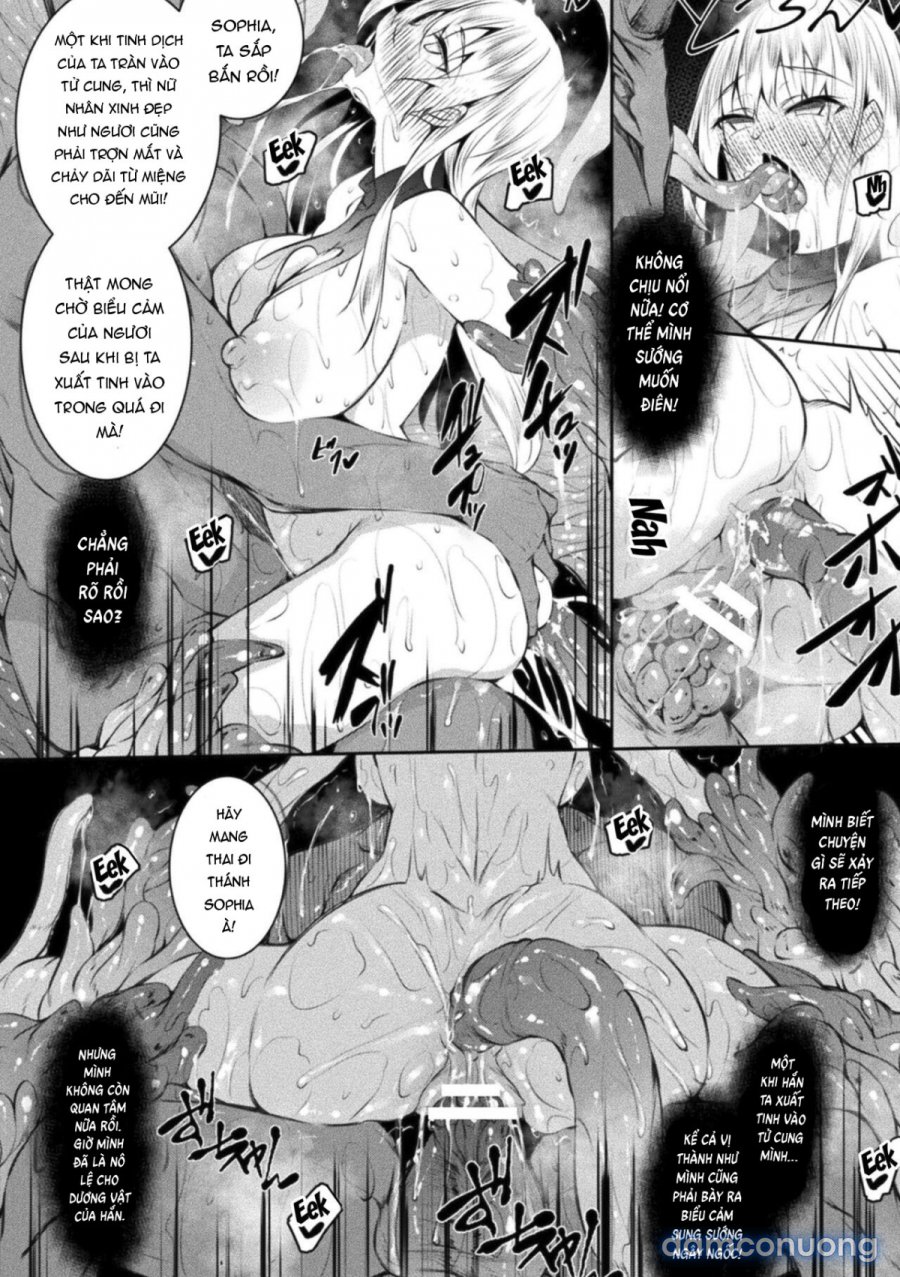 Seijo Daraku Fallen Holy Woman 
