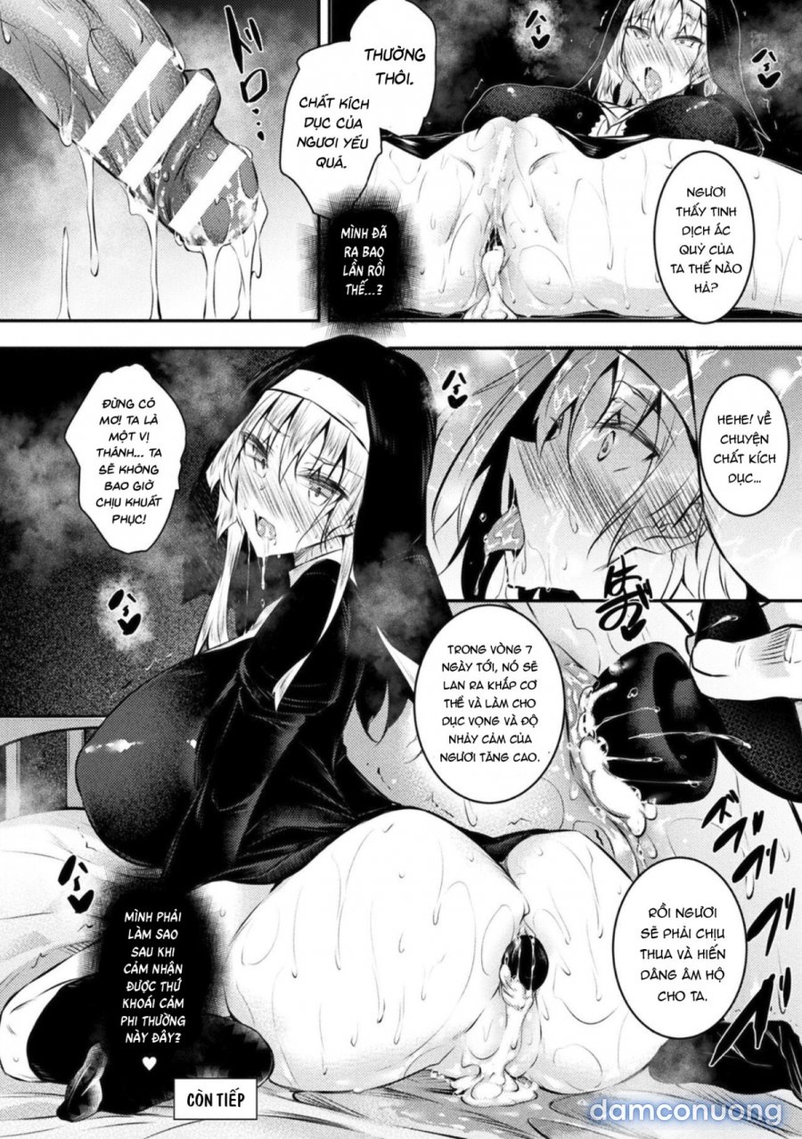 Seijo Daraku Fallen Holy Woman 