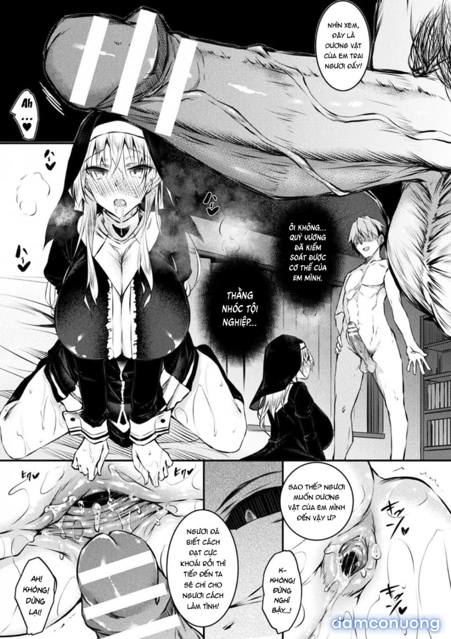 Seijo Daraku Fallen Holy Woman 