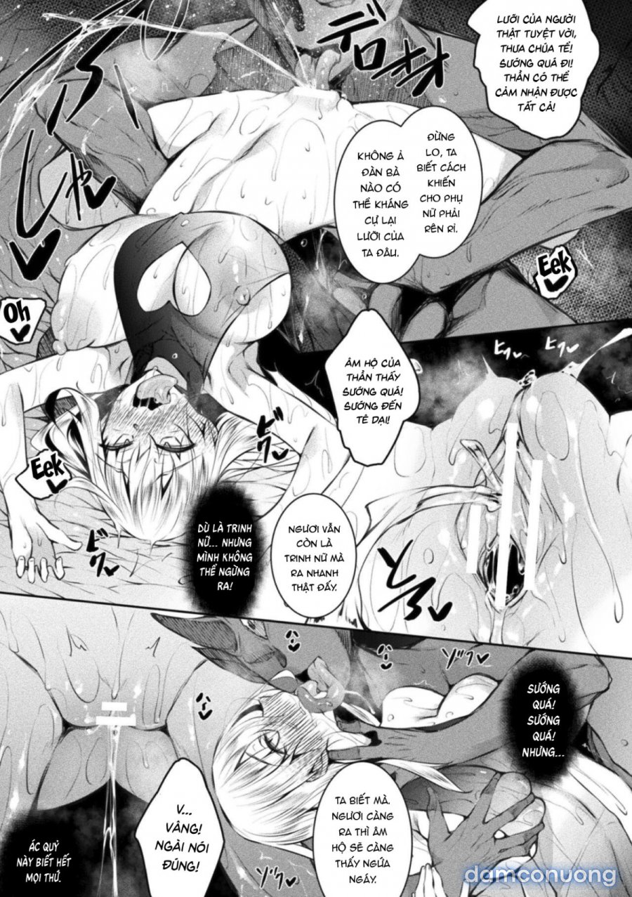 Seijo Daraku Fallen Holy Woman 