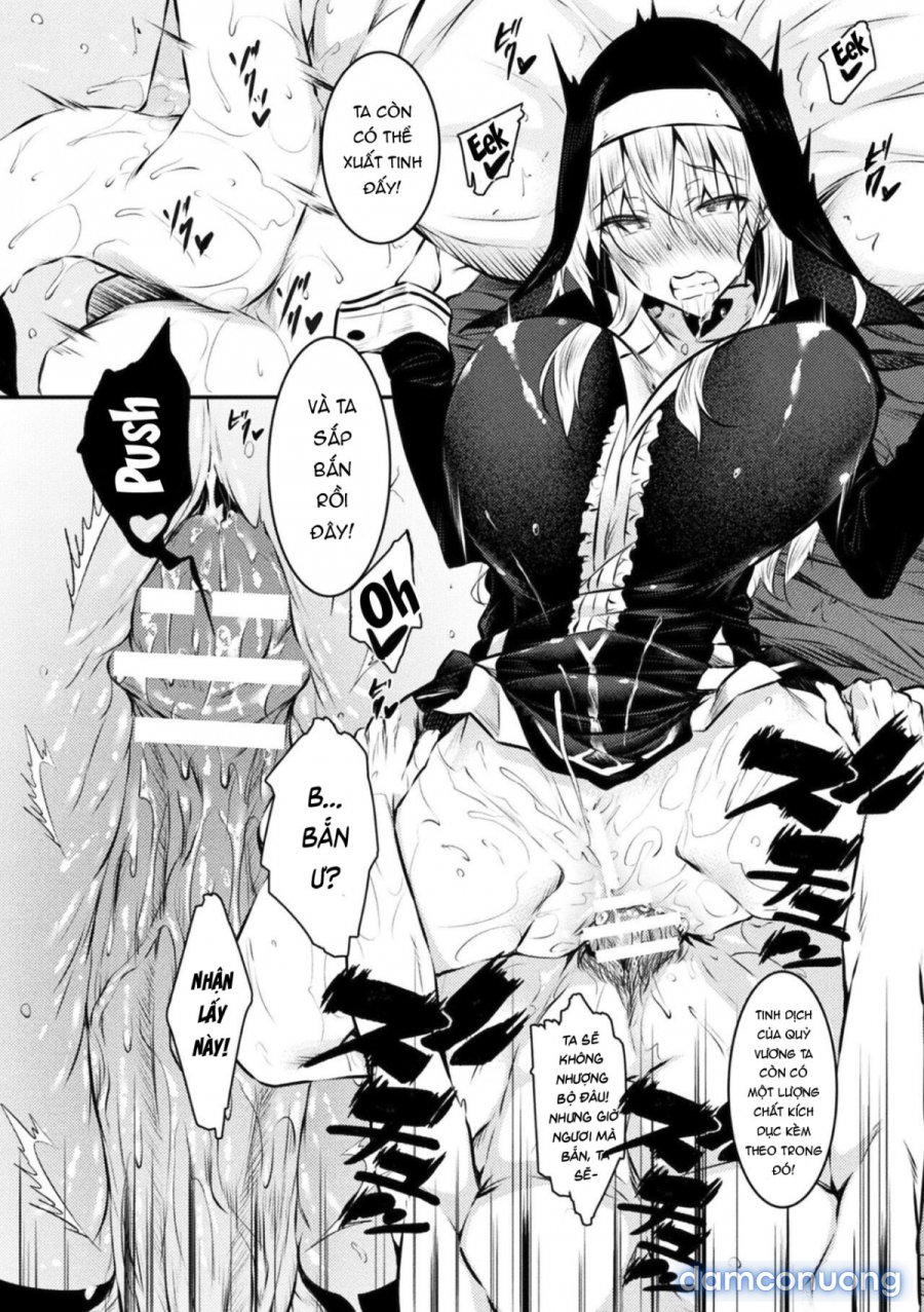Seijo Daraku Fallen Holy Woman 