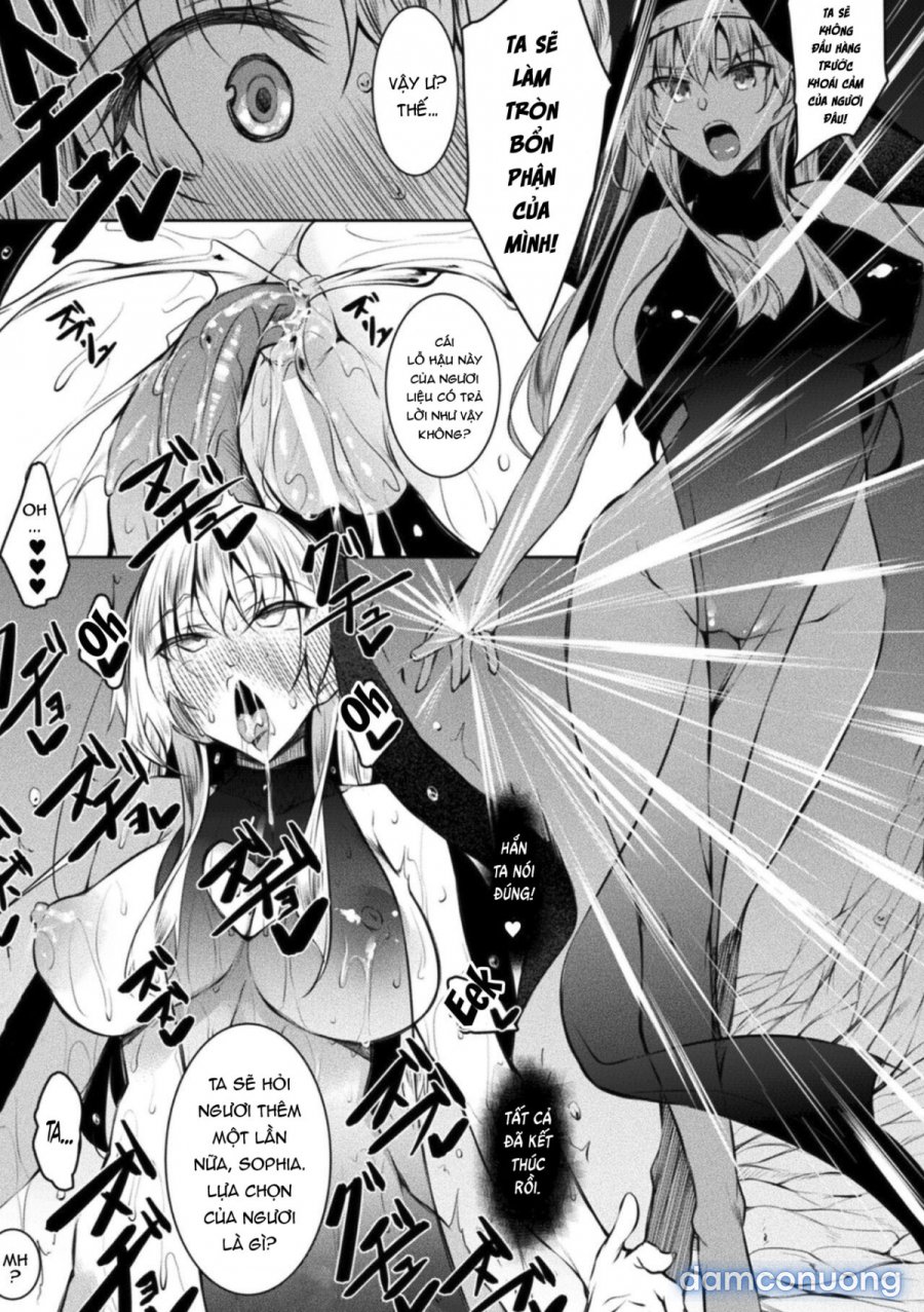 Seijo Daraku Fallen Holy Woman 