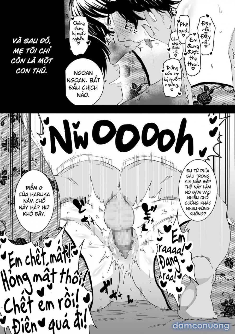 Farewell, Mom 