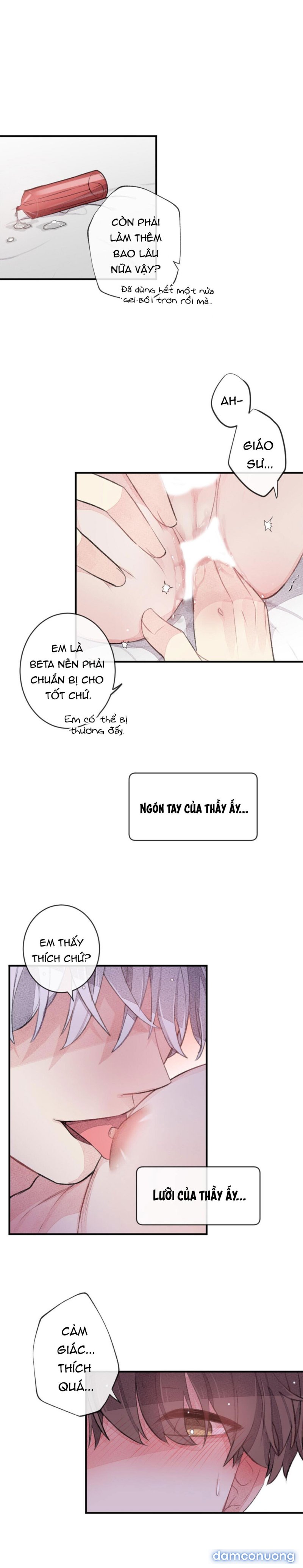 Trong Tâm Trí Của Quý Ngài Beta 